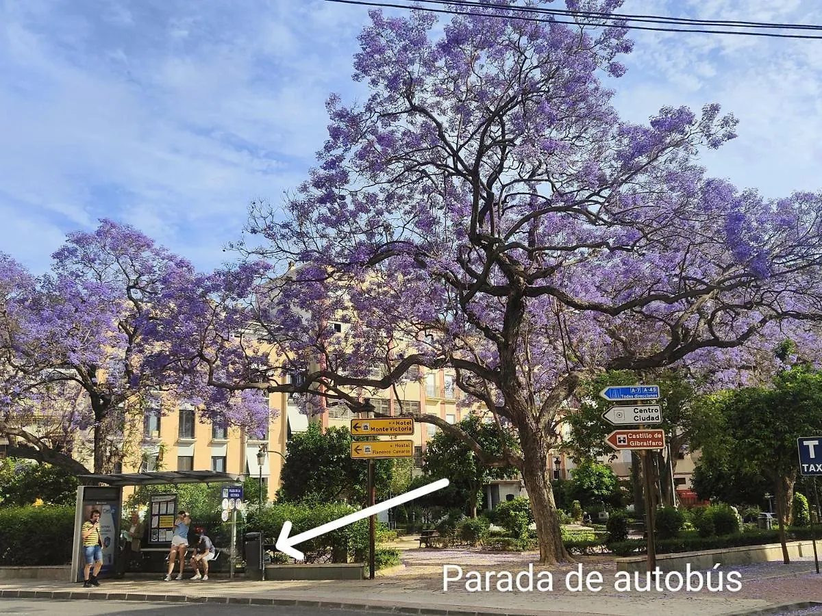 Apartamento M&D Centro Málaga 0*,  España